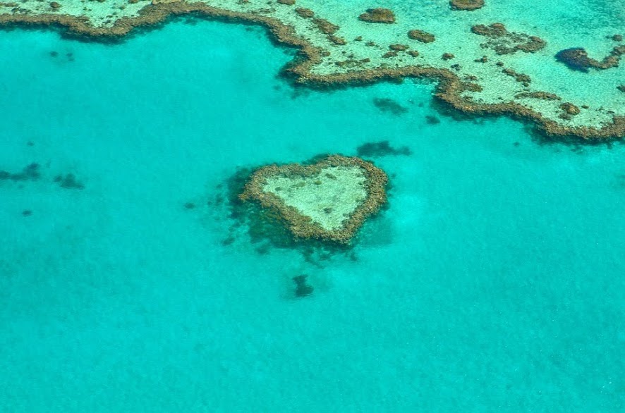 Heart Reef QLD Australia