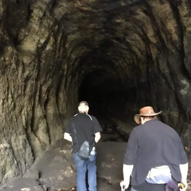 Glow Worm Tunnel NSW Australia