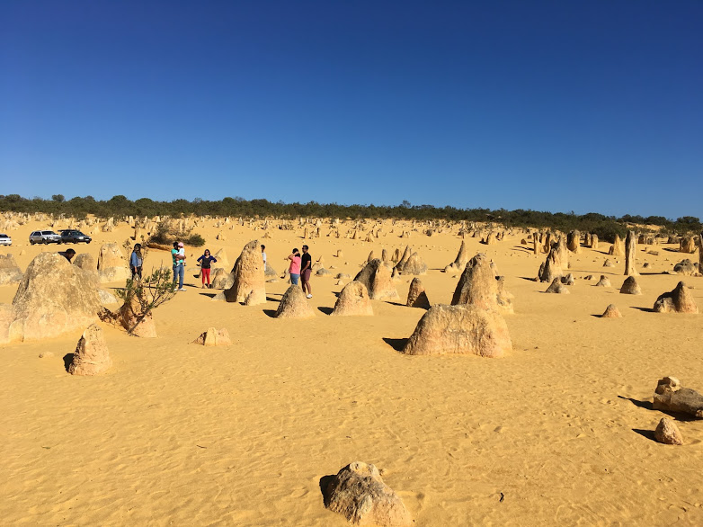 The Pinnacles Desert WA Australia