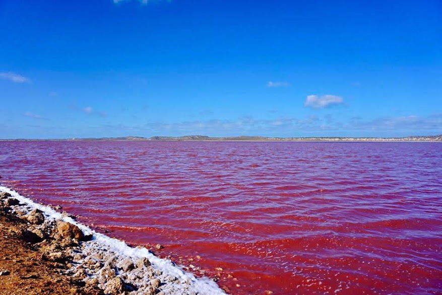 Pink Lake Hutt Lagoon WA Australia