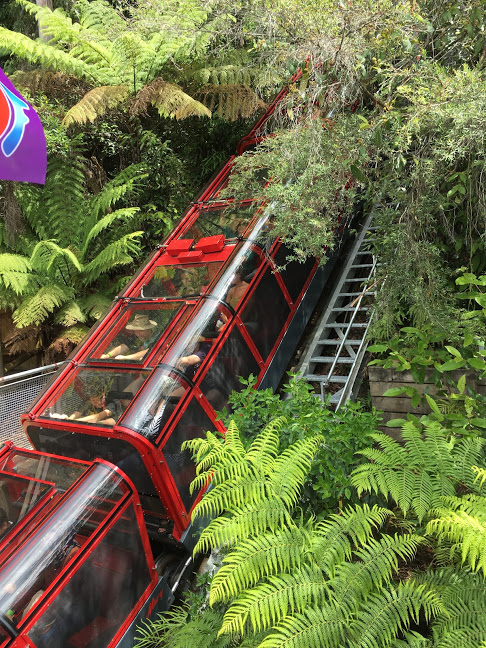 Vertical railway Blue Mountains NSW Australia