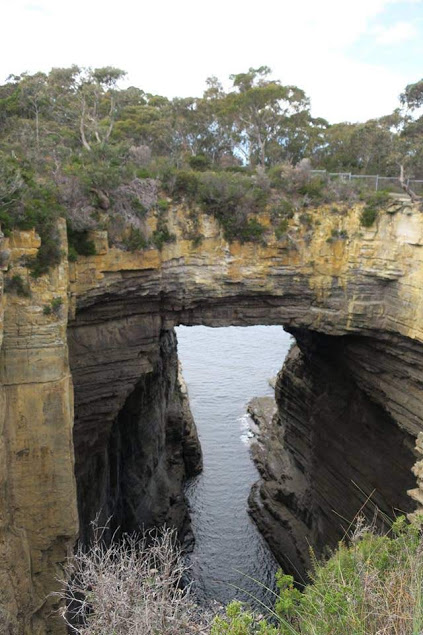 Tasman Arch Tasmania Australia