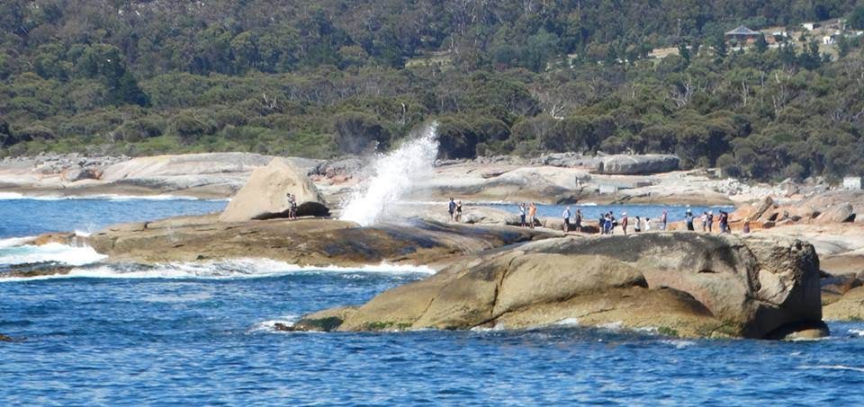 Bicheno Blowhole Tasmania Australia