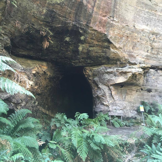 Glow Worm Tunnel NSW Australia