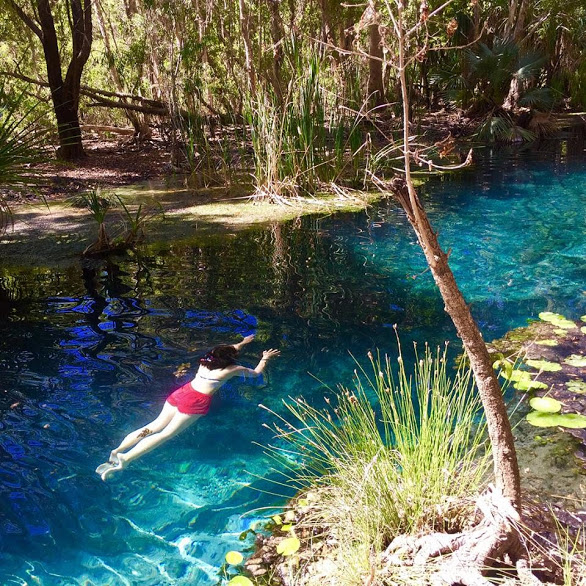 Hot springs bathing area NT Australia