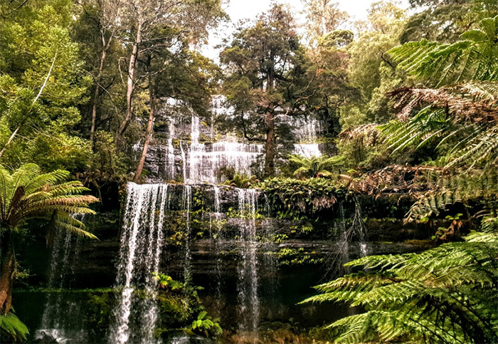 Russell Falls Tasmania Australia