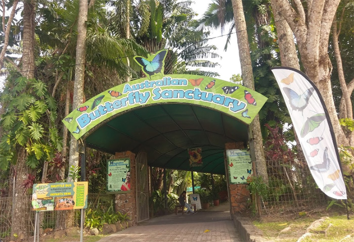 Birdworld Kuranda & Australian Butterfly Sanctuary QLD Australia