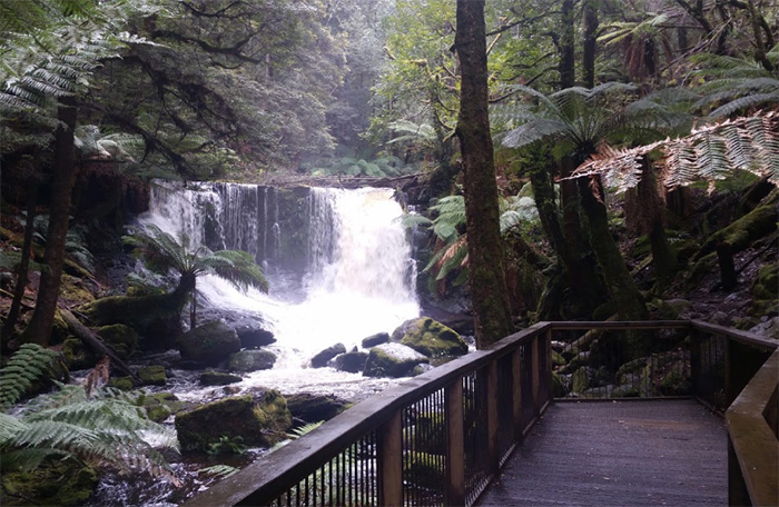 Mount Field National Park Tasmania Australia