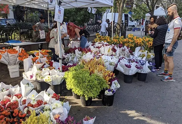 Union Square Greenmarket, New York City, NY, United States, Things to do in New York