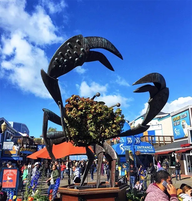 Fisherman’s Wharf and Pier 39, San Francisco, CA, United States, Things to do in San Francisco