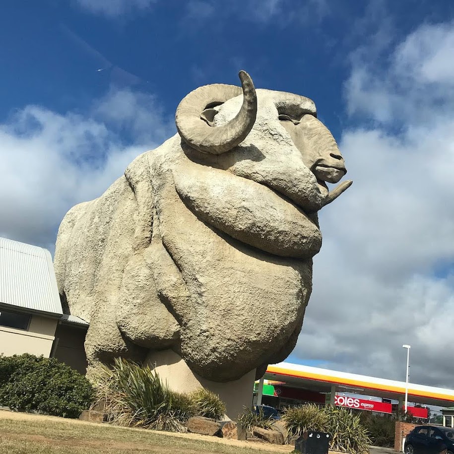 Big Merino NSW Australia