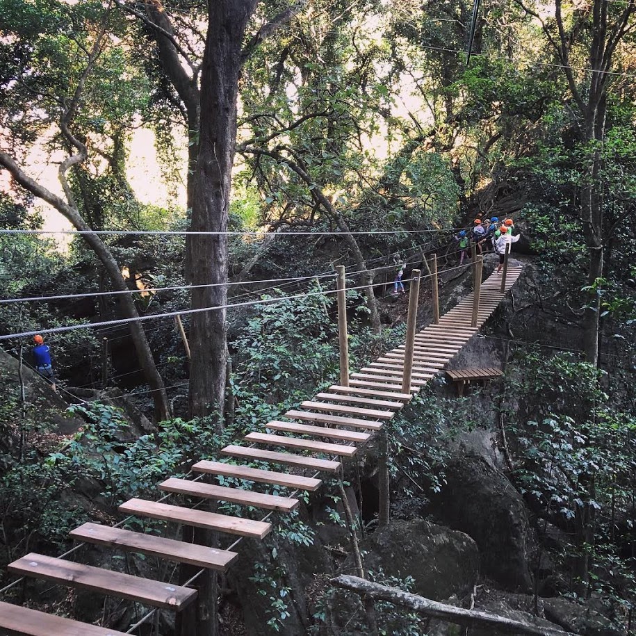 Trees Adventure Nowra Park NSW Australia