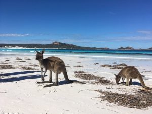 Lucky Bay in Cape Le Grand National Park, Western Australia, Australia