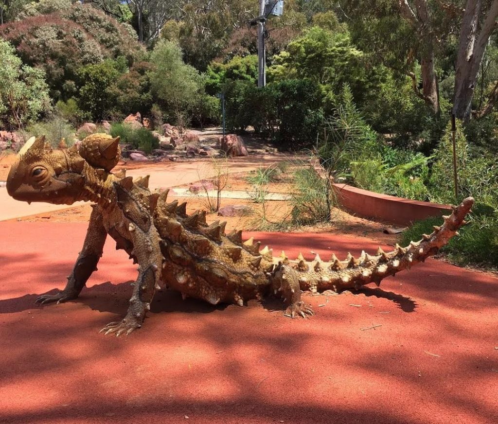 Australian National Botanic Gardens ACT Australia