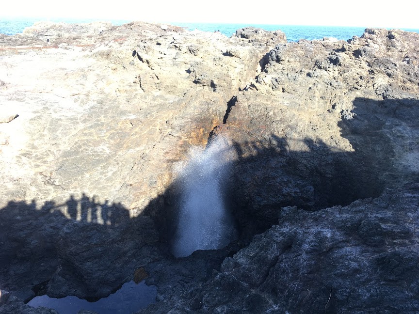 Kiama Blowhole NSW Australia
