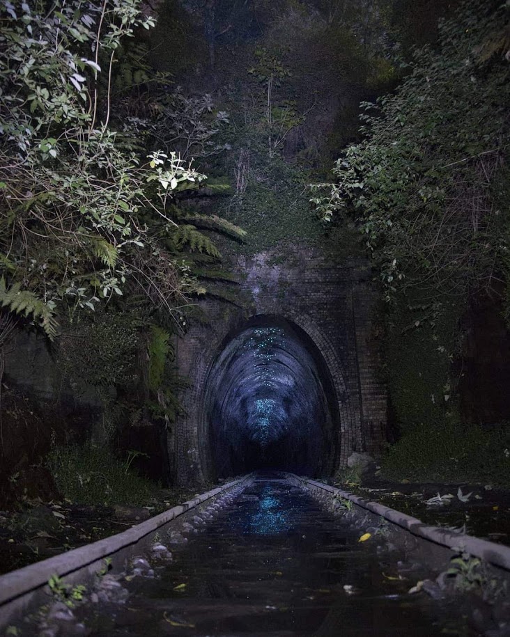 Old Helensburgh Station Glow Worm Tunnel NSW Australia