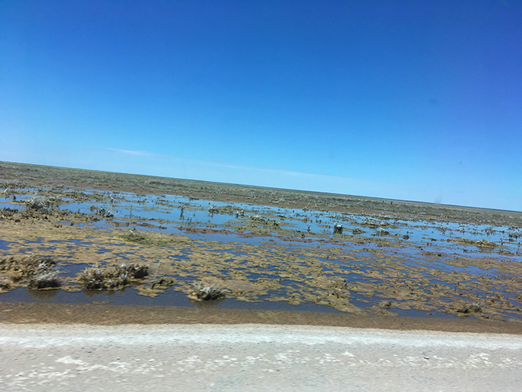 Road trip on the way to Broome