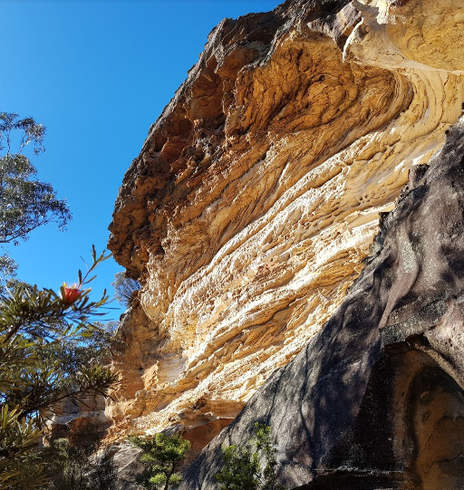 Wind Eroded Cave Lookout NSW Australia