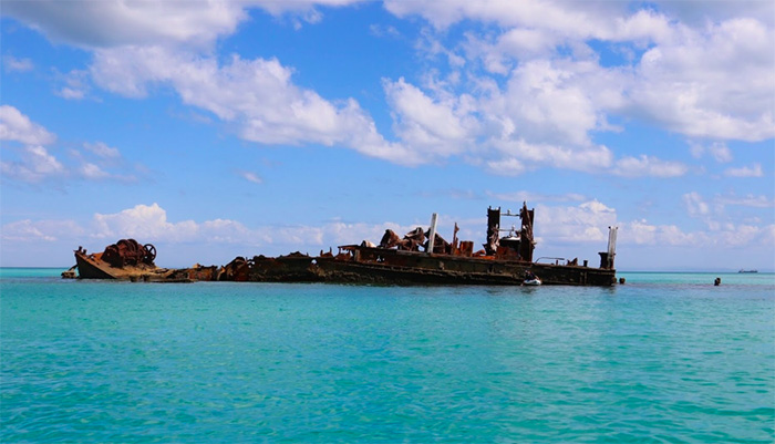 Moreton Island Tour - Tangalooma Wrecks QLD Australia
