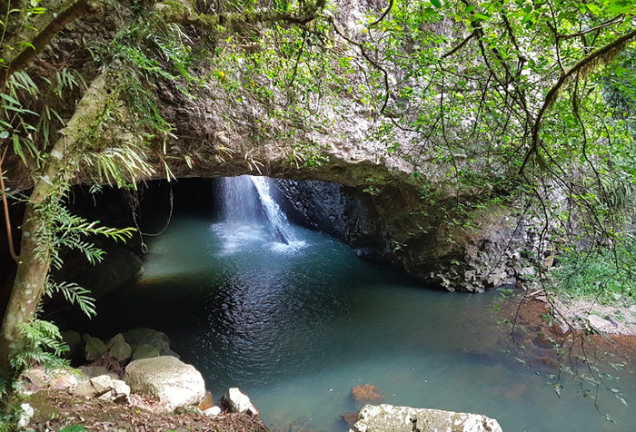 Springbrook National Park QLD Australia