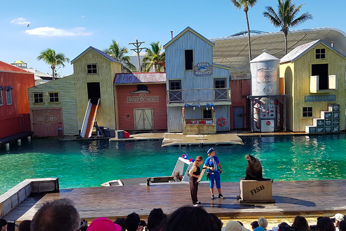 Sea World QLD Australia