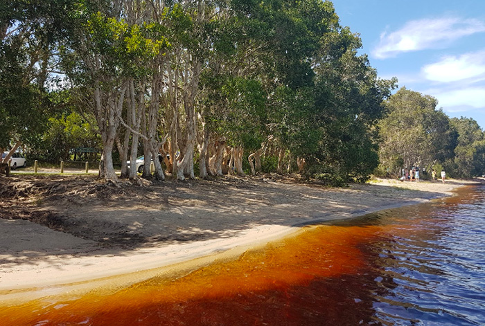 Lake Ainsworth NSW Australia