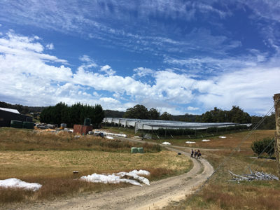 Australia farm work