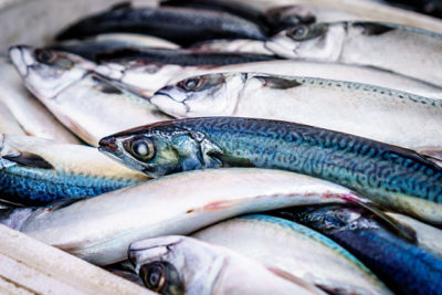 Australia seafood work