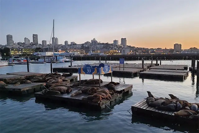 North Beach, San Francisco, CA, United States, Things to do in San Francisco